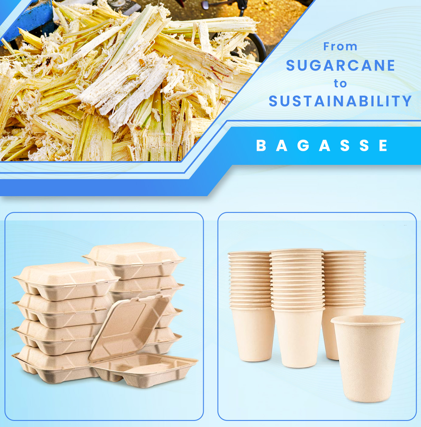 Bagasse