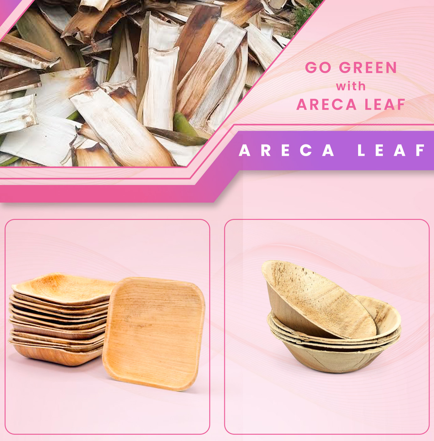 Areca Leaf 