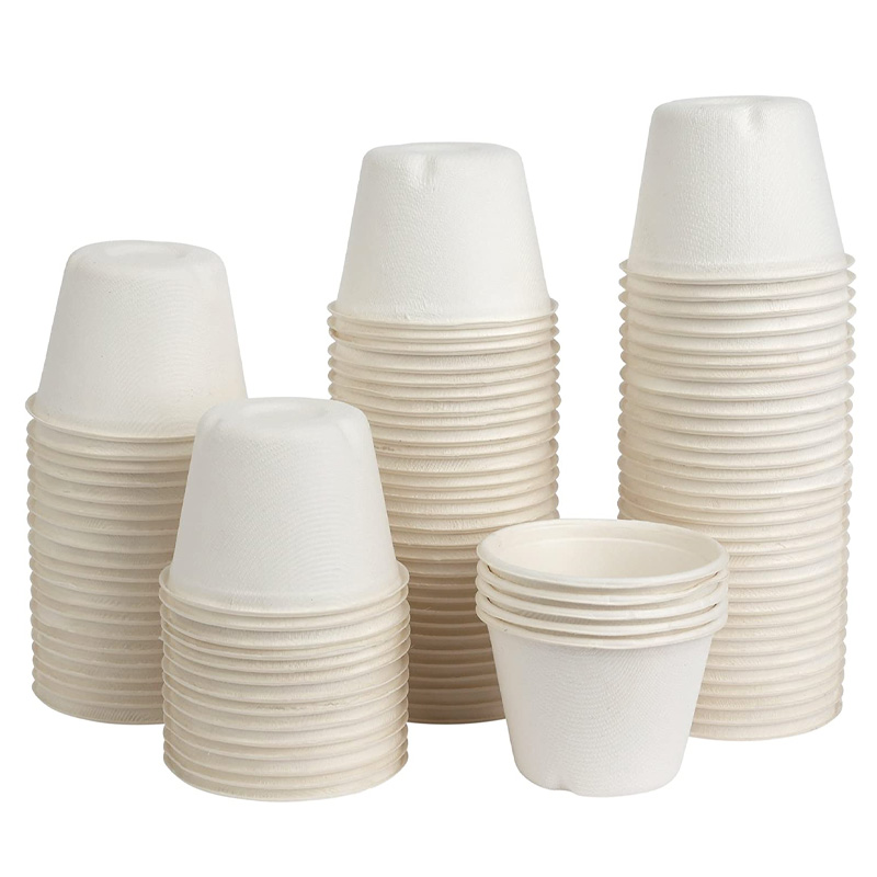 Bagasse Cups