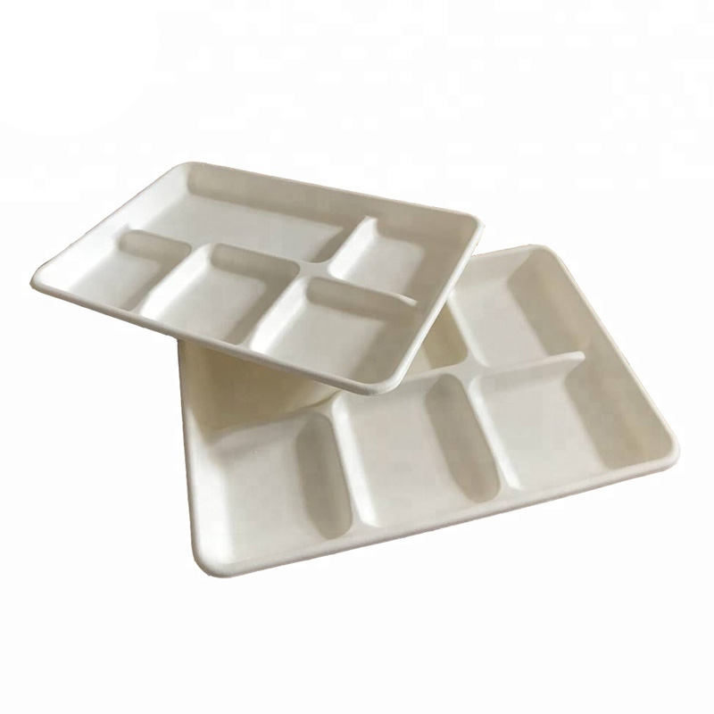 Bagasse Tray