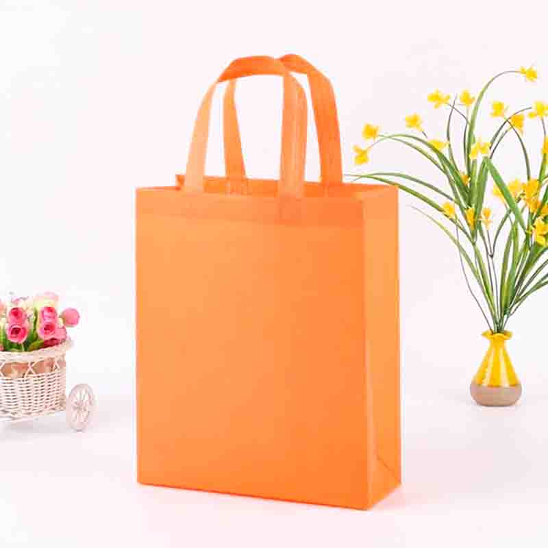 Non woven Bags